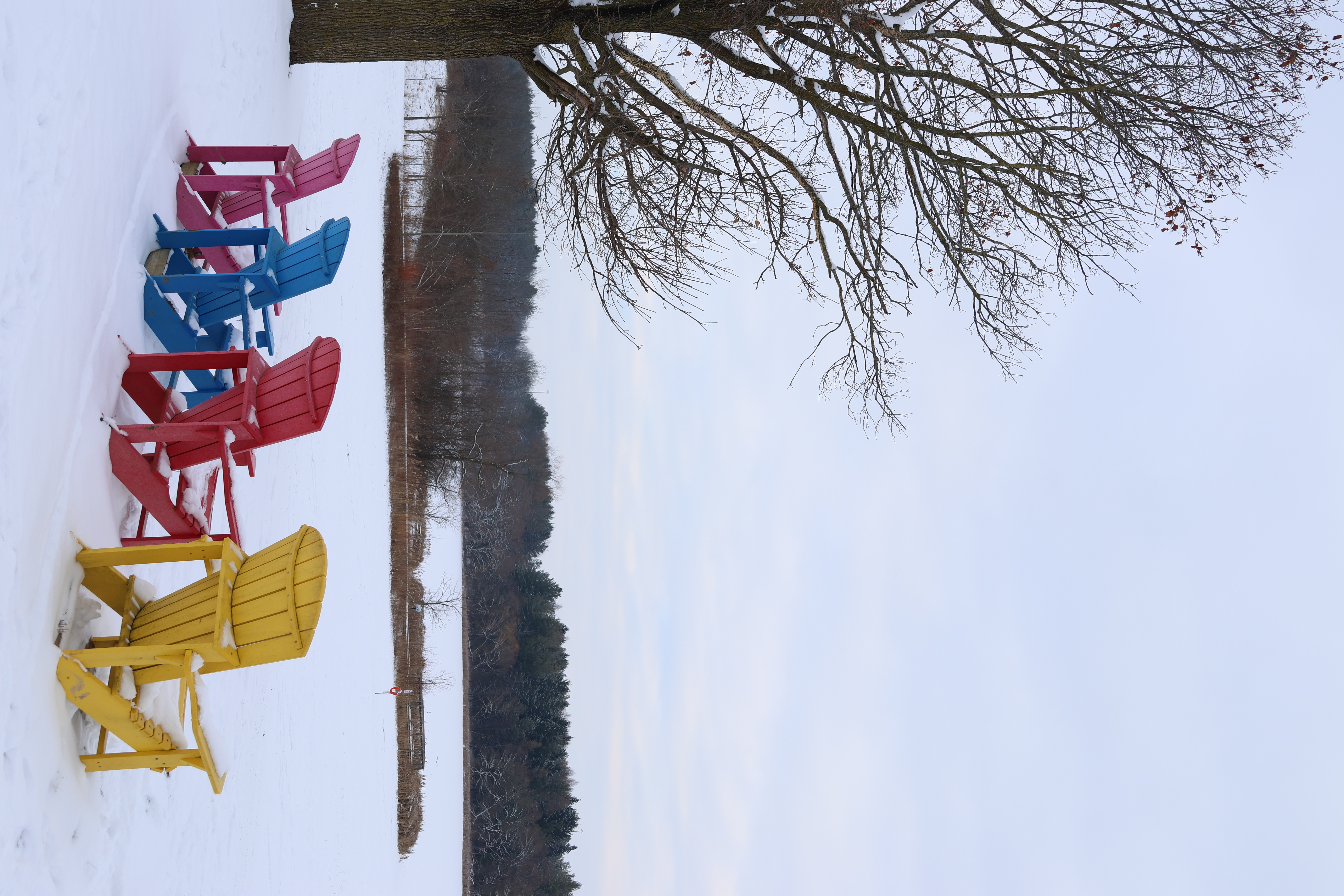 Vertical Photo Right